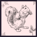 The Amazing World of Eastern Gray Squirrels